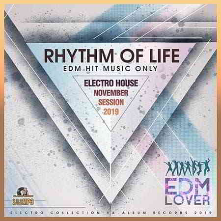 Rhythm Of Life: Electro House Session
