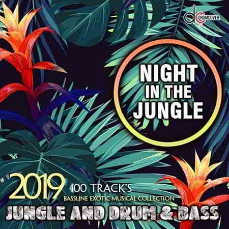 Night In The Jungle