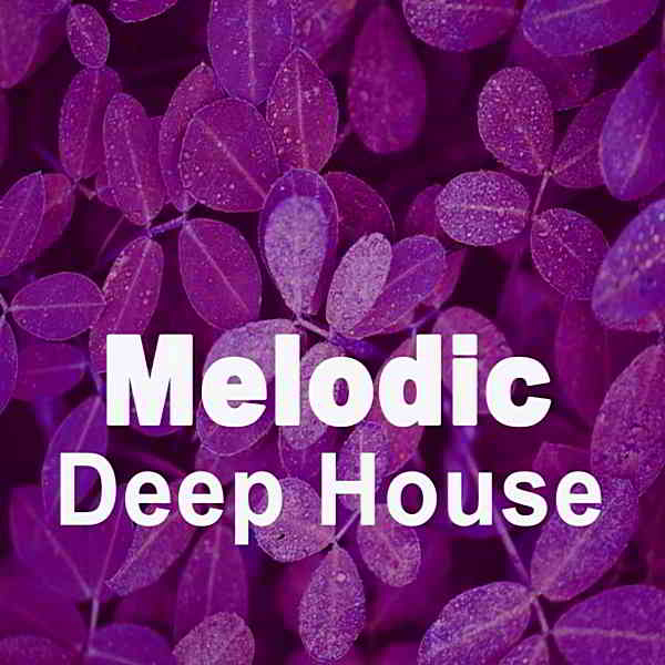 Melodic Deep House