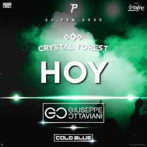 Cold Blue - Live @ Crystal Forest Medellin, Colombia 2020-02-22