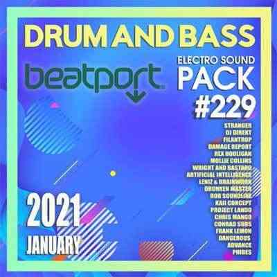 Beatport D&B: Electro Sound Pack #229
