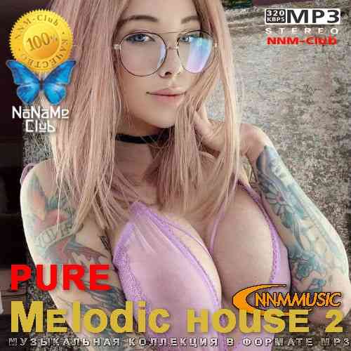 pure Melodic house 2