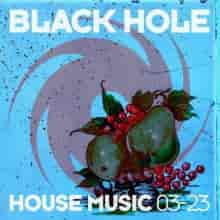 Black Hole House Music 03-23 (2023) торрент