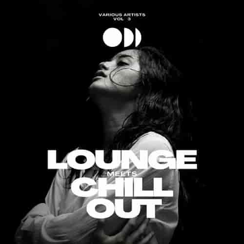 Lounge Meets Chill Out, Vol. 3