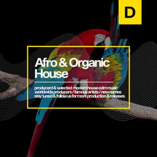 Afro &amp; Organic House 2023 (2023) торрент