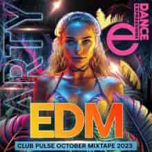 Pulse Of The EDM Club