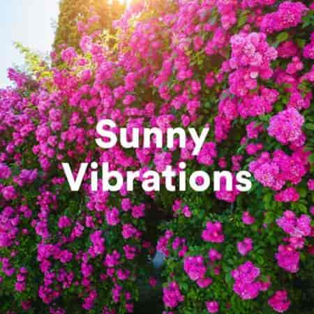 Sunny Vibrations (2023) торрент