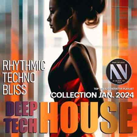 Rhythmic Techno Bliss (2024) торрент