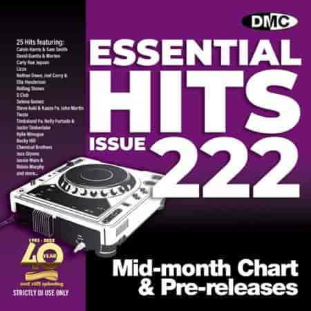 DMC Essential Hits 222 (2024) торрент