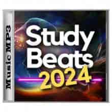 Study Beats (2024) торрент