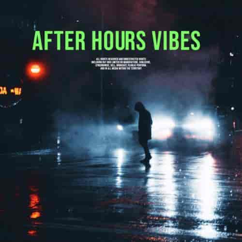 After Hours Vibes (2024) торрент